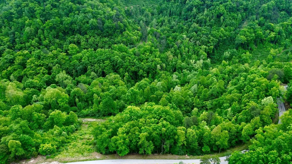 2214A State Highway 2033 Louisa KY 41230