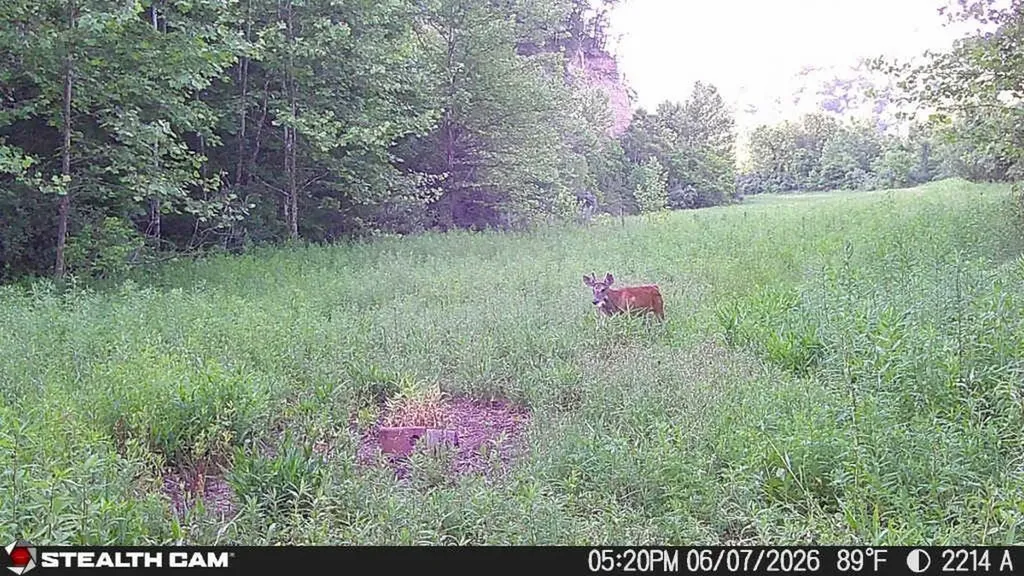 2214A State Highway 2033 Louisa KY 41230