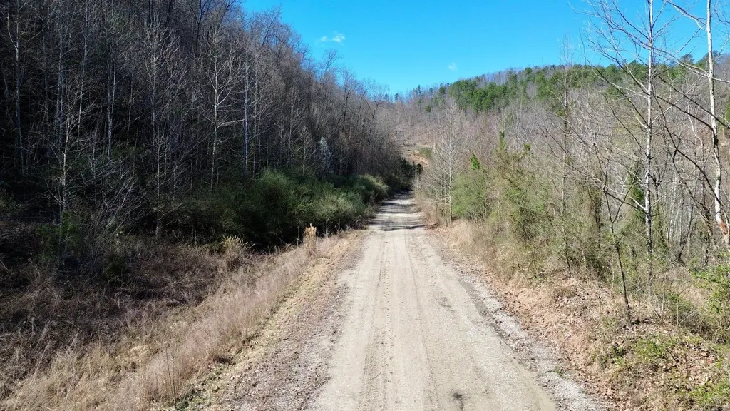 2214A State Highway 2033 Louisa KY 41230