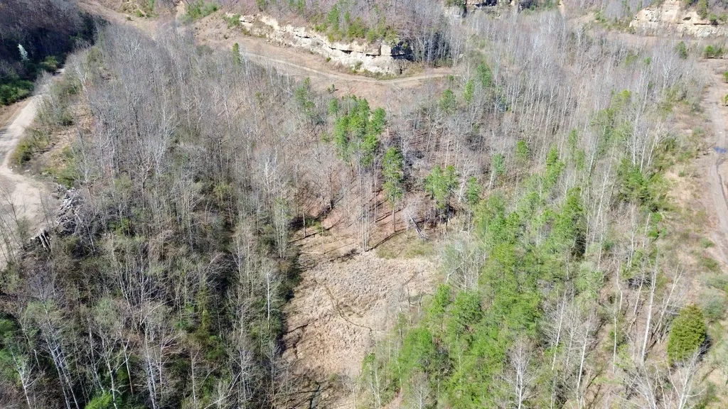 2214A State Highway 2033 Louisa KY 41230