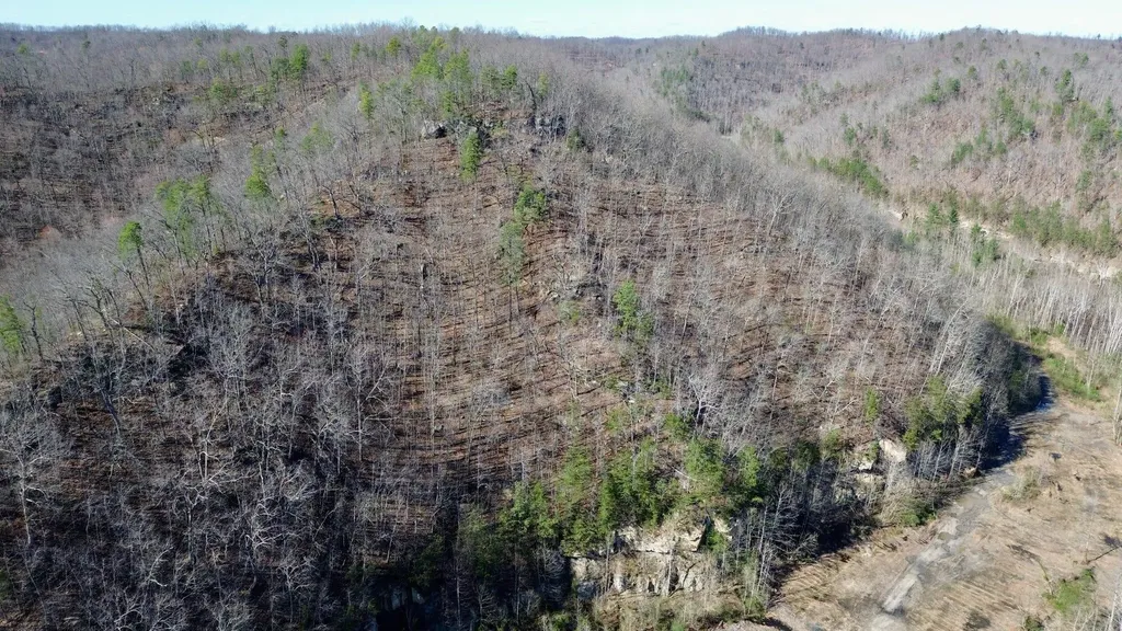 2214A State Highway 2033 Louisa KY 41230
