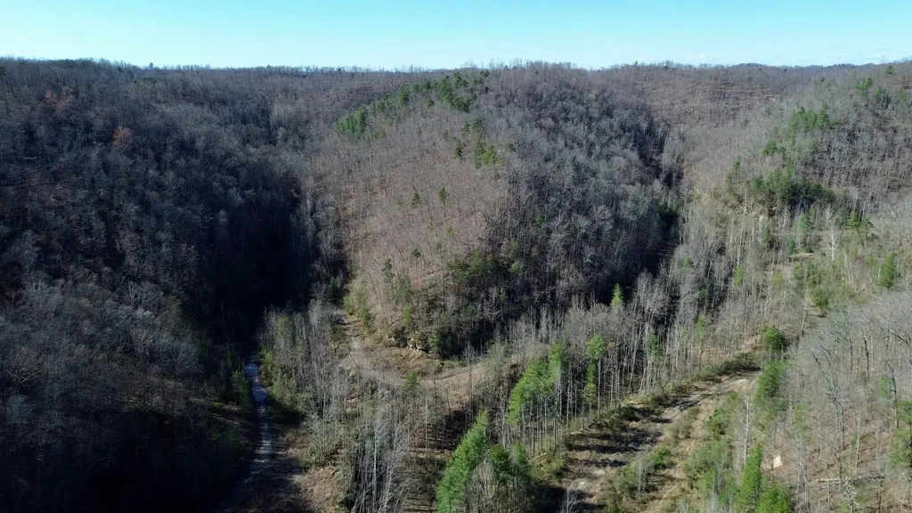 2214A State Highway 2033 Louisa KY 41230