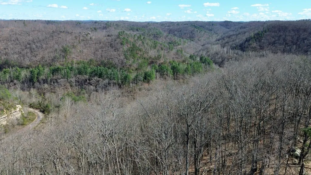 2214A State Highway 2033 Louisa KY 41230