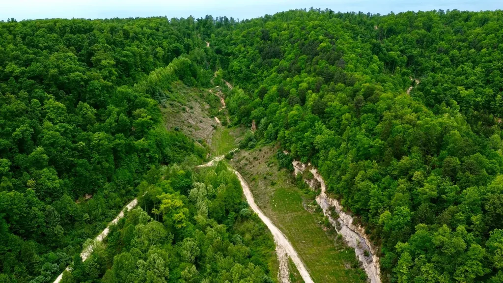 2214A State Highway 2033 Louisa KY 41230