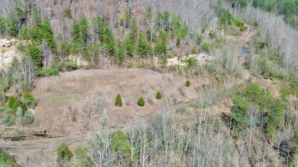 2214A State Highway 2033 Louisa KY 41230