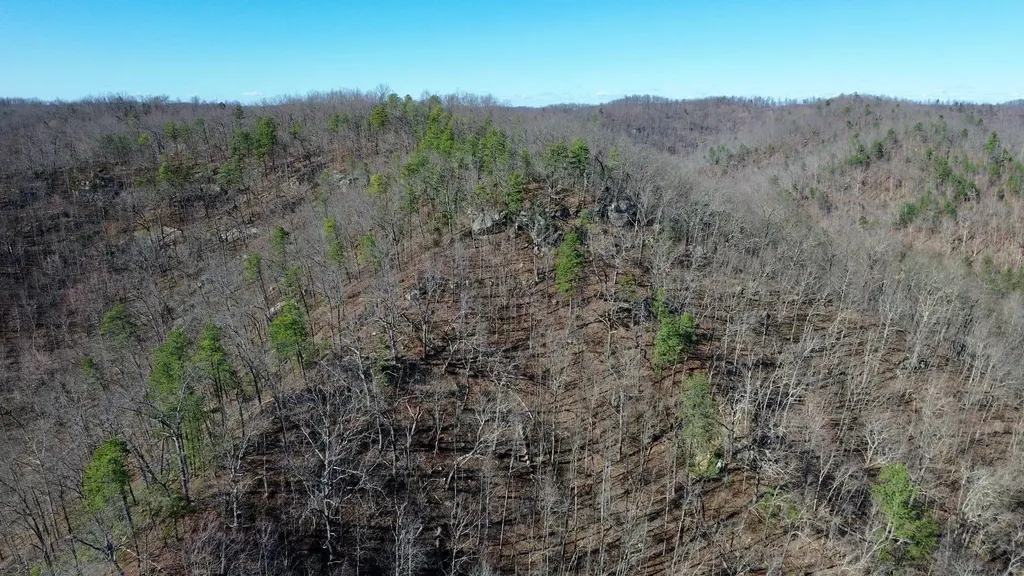 2214A State Highway 2033 Louisa KY 41230