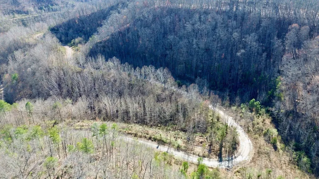 2214A State Highway 2033 Louisa KY 41230