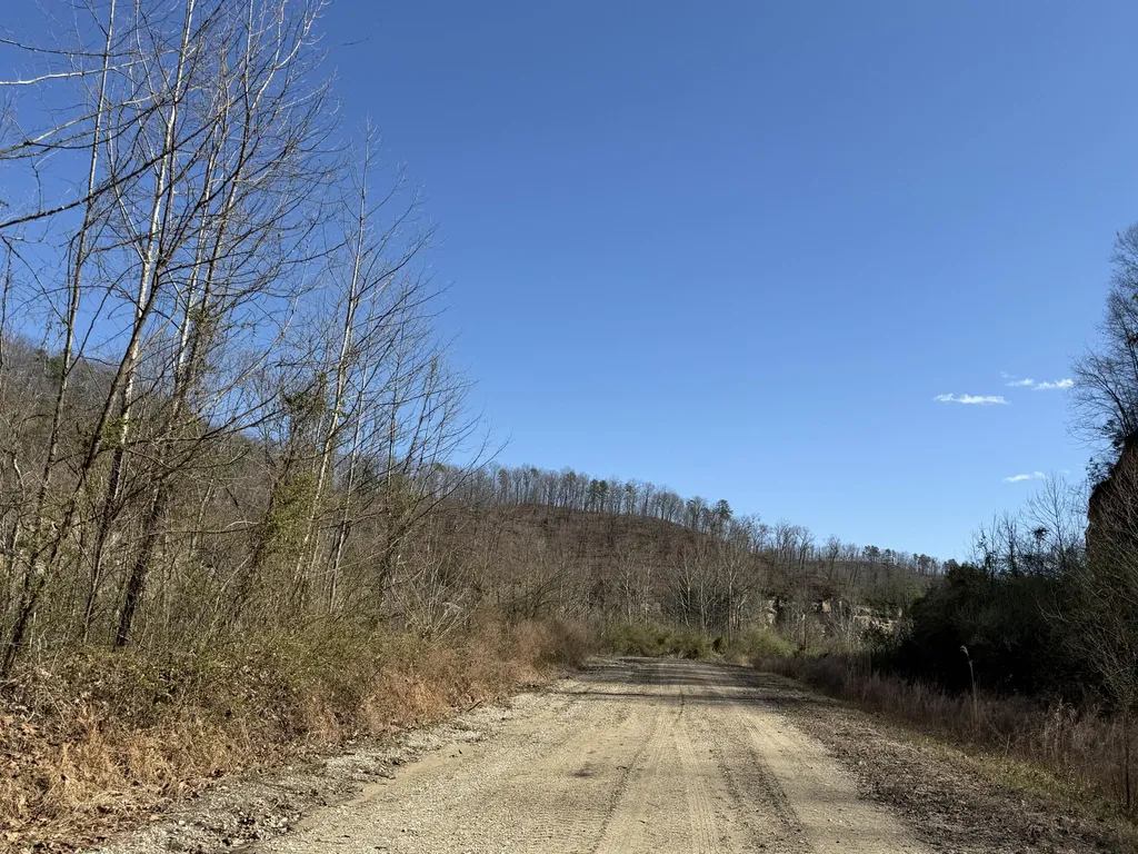 2214A State Highway 2033 Louisa KY 41230