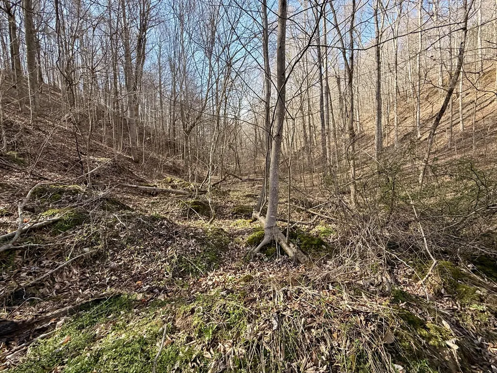 2781 Bull Run Road Liberty KY 42539