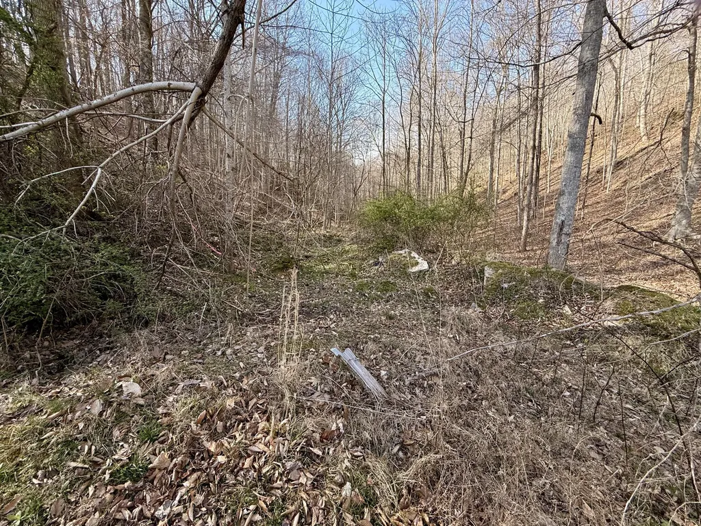 2781 Bull Run Road Liberty KY 42539