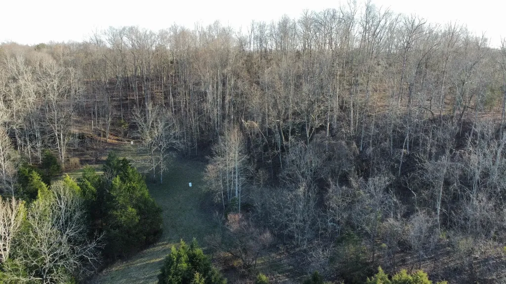9098 Winchester Road Irvine KY 40336