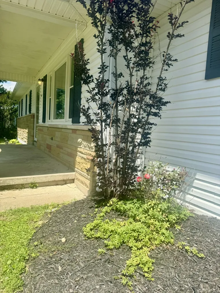 6658 Ky-10 Tollesboro KY 41189