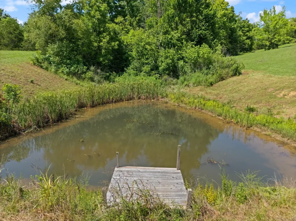 649 Snedegar Road Mt Sterling KY 40353