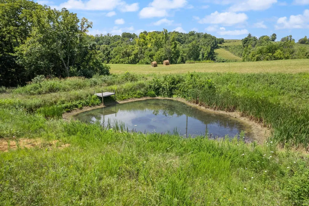 649 Snedegar Road Mt Sterling KY 40353