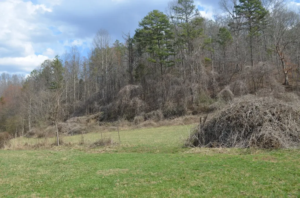 999-1640 Muncy Fork Road Manchester KY 40962