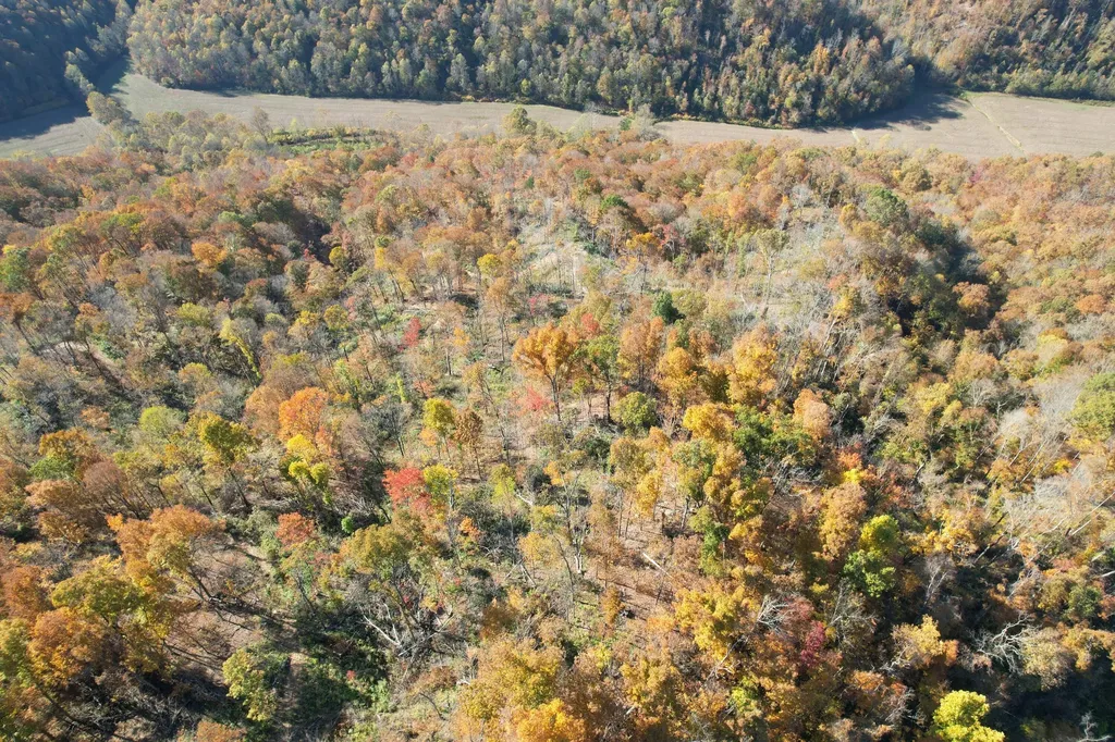 99 Beech Creek Road Manchester KY 40962