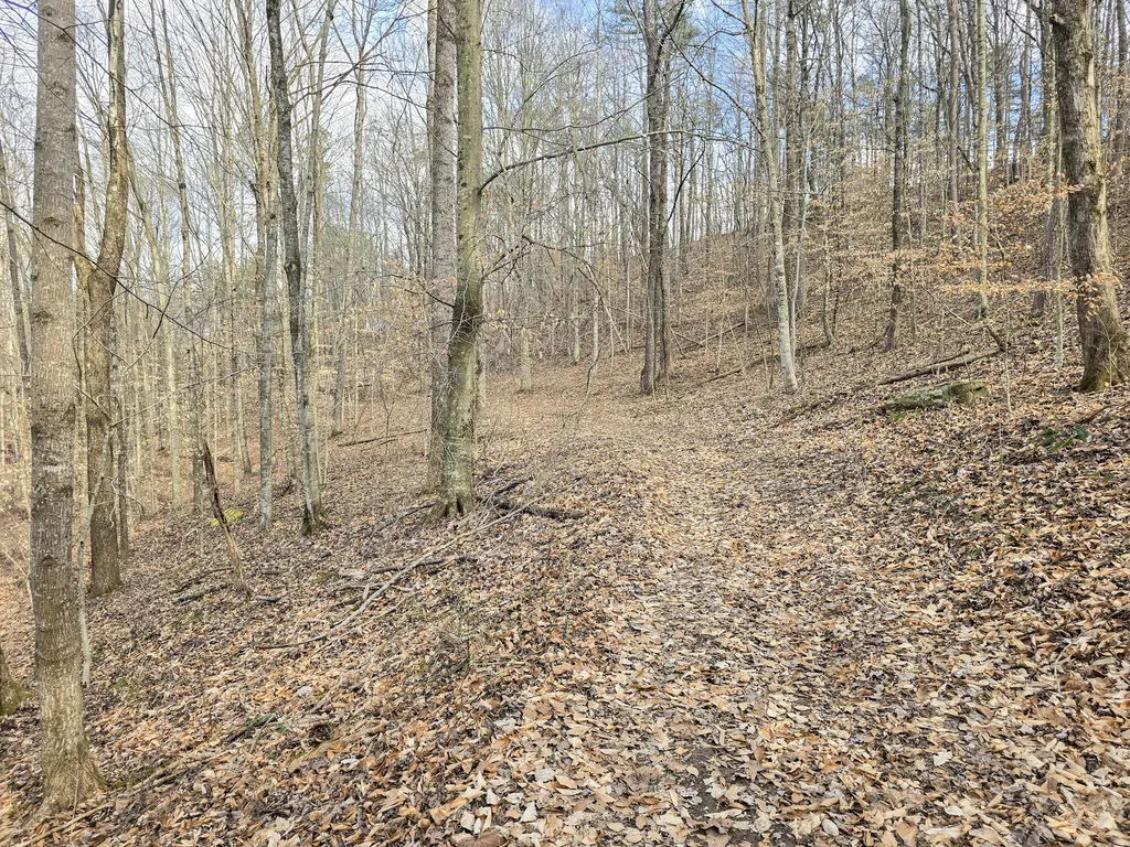 Tract 2 Maple Grove Road Orlando KY 40460