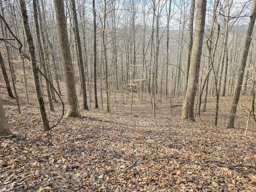 Tract 2 Maple Grove Road Orlando KY 40460