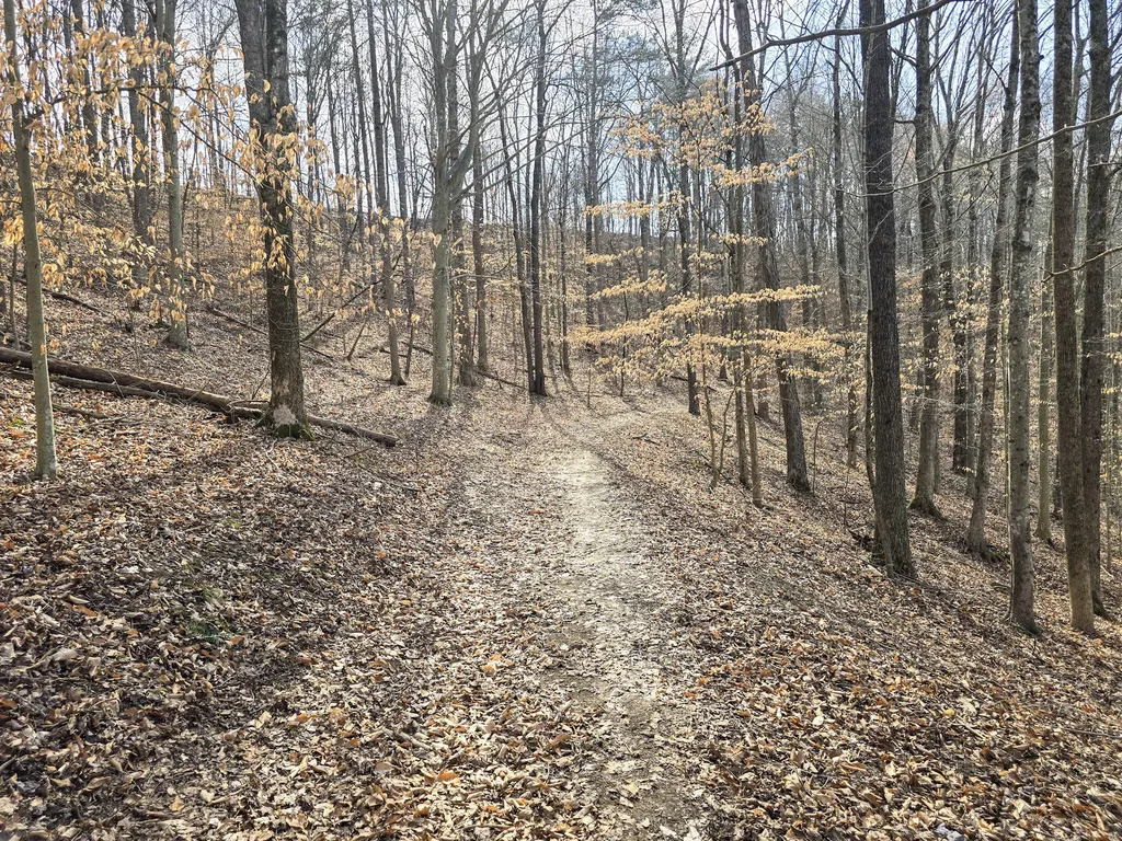 Tract 2 Maple Grove Road Orlando KY 40460