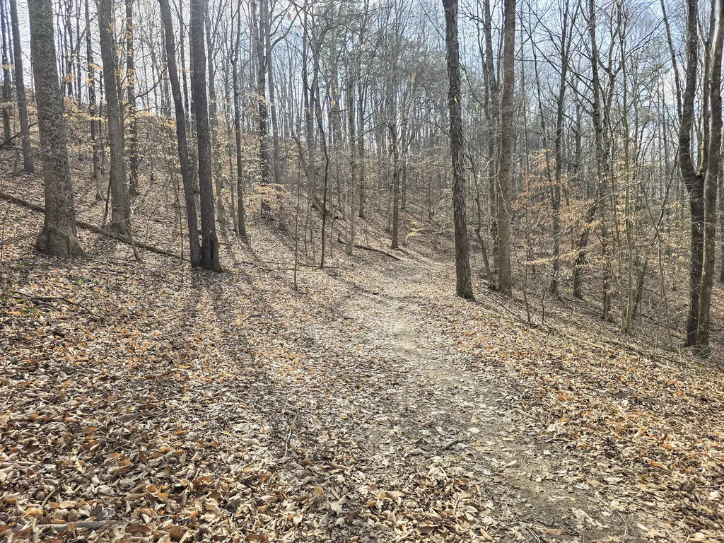 Tract 2 Maple Grove Road Orlando KY 40460