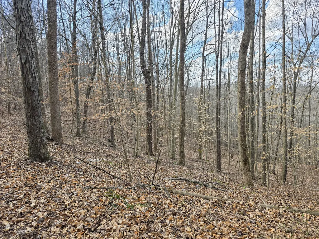 Tract 2 Maple Grove Road Orlando KY 40460