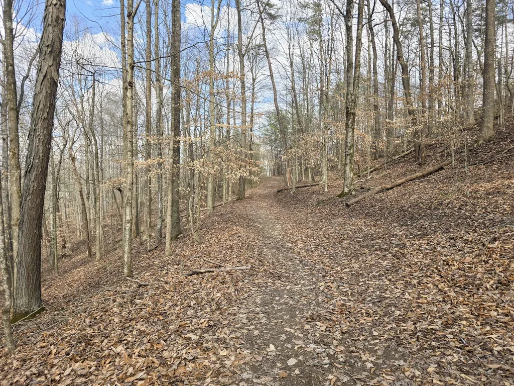Tract 2 Maple Grove Road Orlando KY 40460