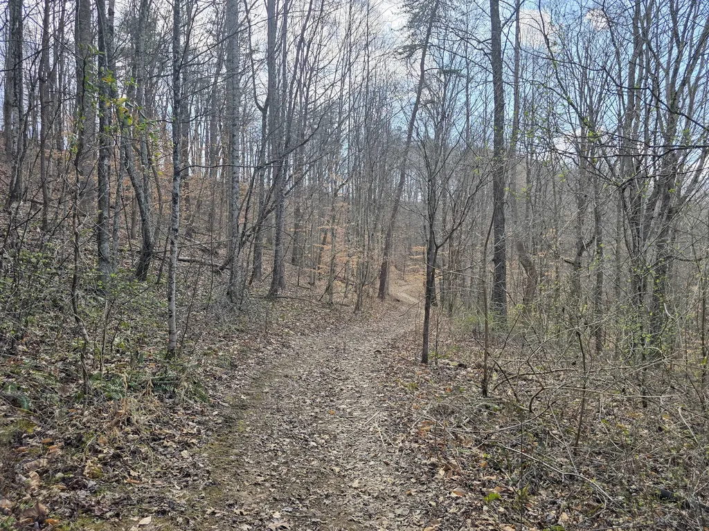 Tract 2 Maple Grove Road Orlando KY 40460