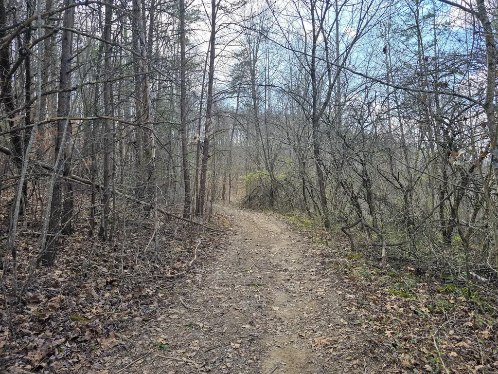 Tract 2 Maple Grove Road Orlando KY 40460