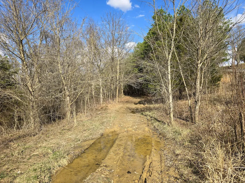 Tract 2 Maple Grove Road Orlando KY 40460