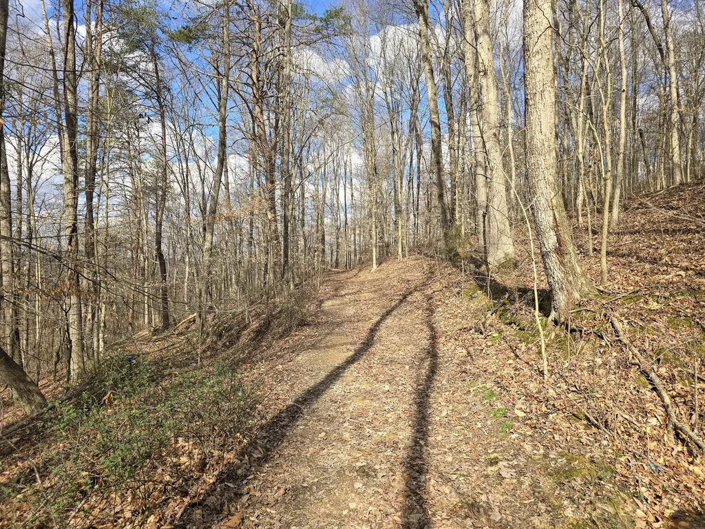 Tract 2 Maple Grove Road Orlando KY 40460