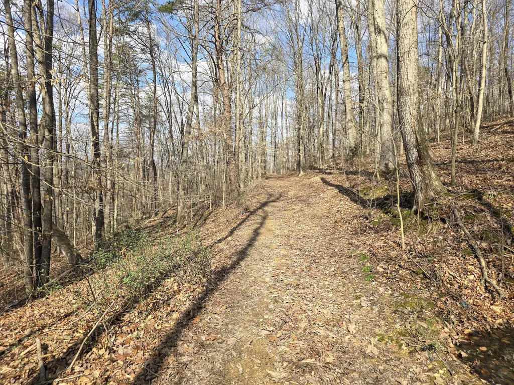 Tract 2 Maple Grove Road Orlando KY 40460