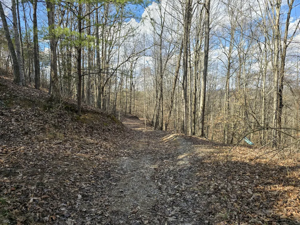 Tract 2 Maple Grove Road Orlando KY 40460