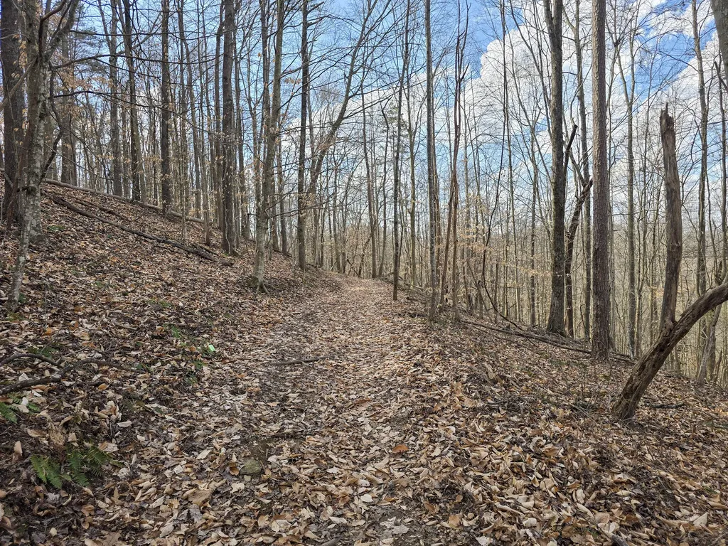 Tract 2 Maple Grove Road Orlando KY 40460