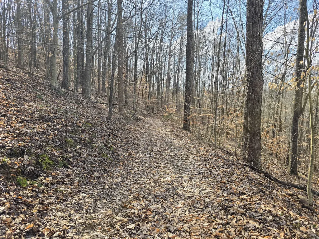Tract 2 Maple Grove Road Orlando KY 40460