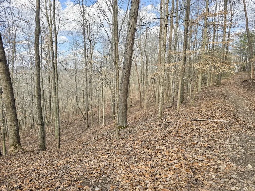 Tract 2 Maple Grove Road Orlando KY 40460