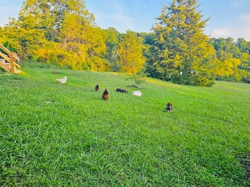 528 Indian Creek Road Harrodsburg KY 40330