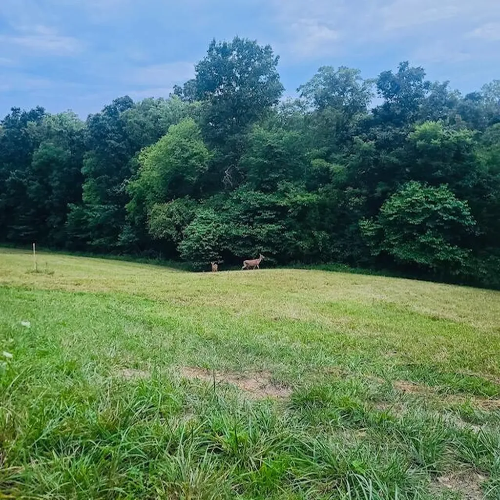 528 Indian Creek Road Harrodsburg KY 40330
