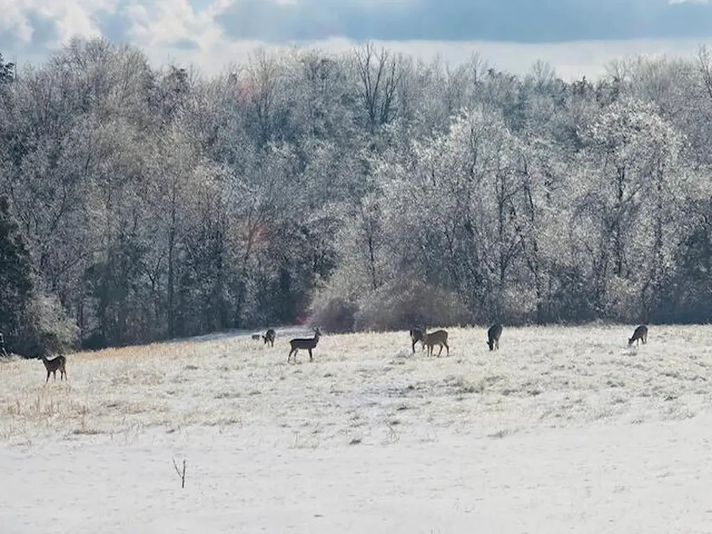 528 Indian Creek Road Harrodsburg KY 40330