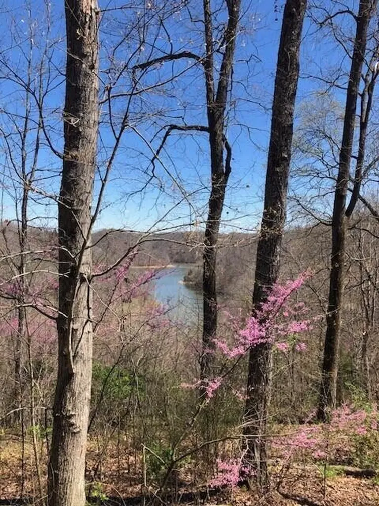 1 Nelson Mill Road Jamestown KY 42629