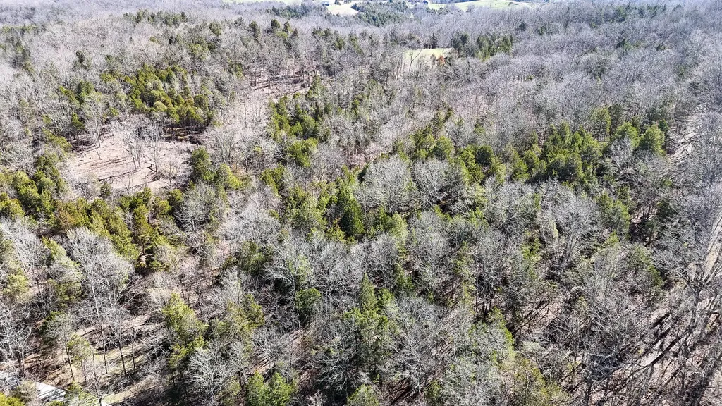 00 Fork Lick Road Corinth KY 41010