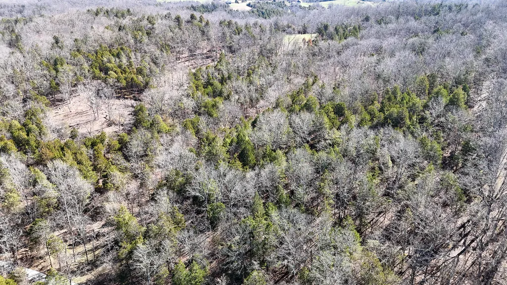 00 Fork Lick Road Corinth KY 41010
