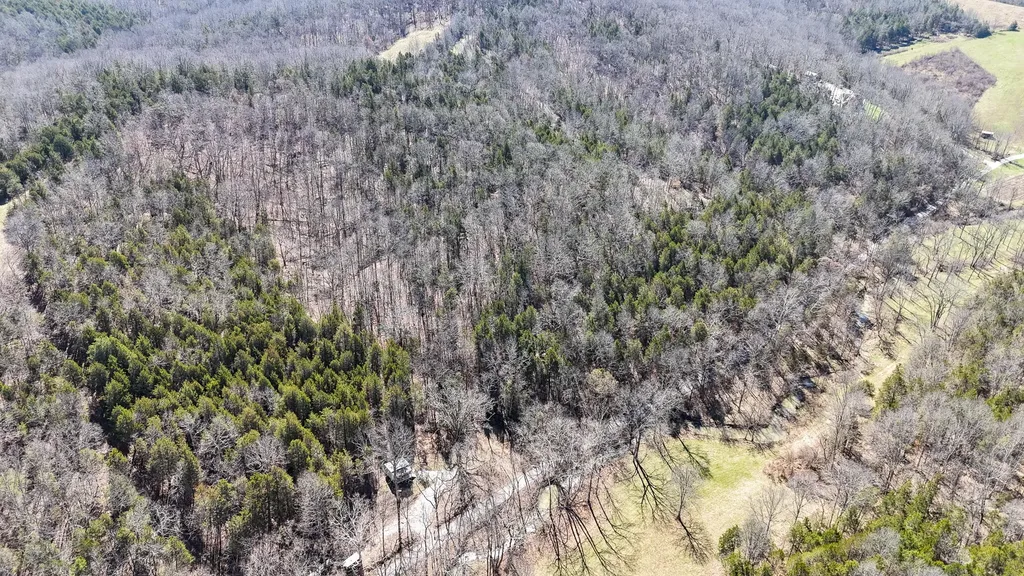 00 Fork Lick Road Corinth KY 41010