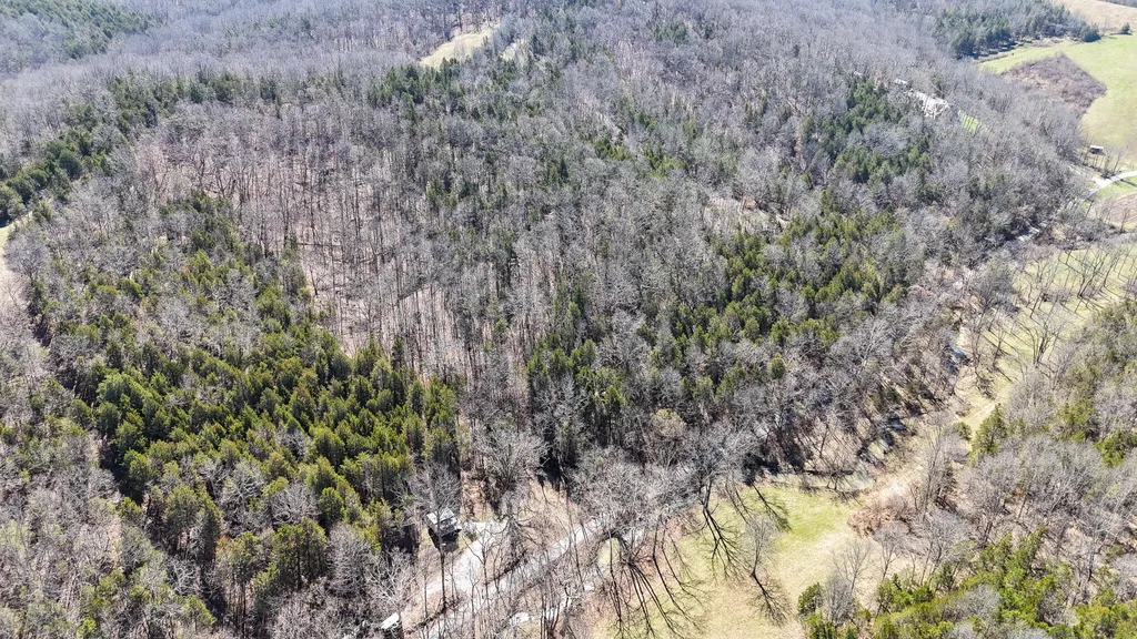 00 Fork Lick Road Corinth KY 41010