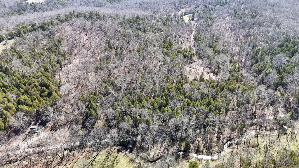 00 Fork Lick Road Corinth KY 41010