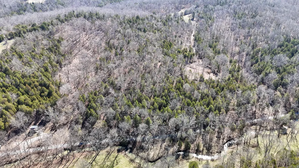 00 Fork Lick Road Corinth KY 41010