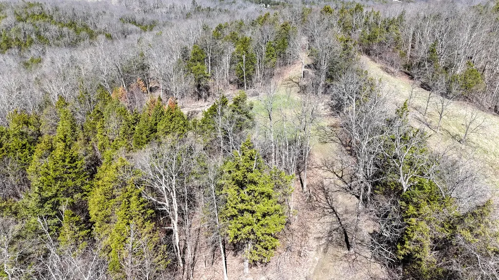 00 Fork Lick Road Corinth KY 41010