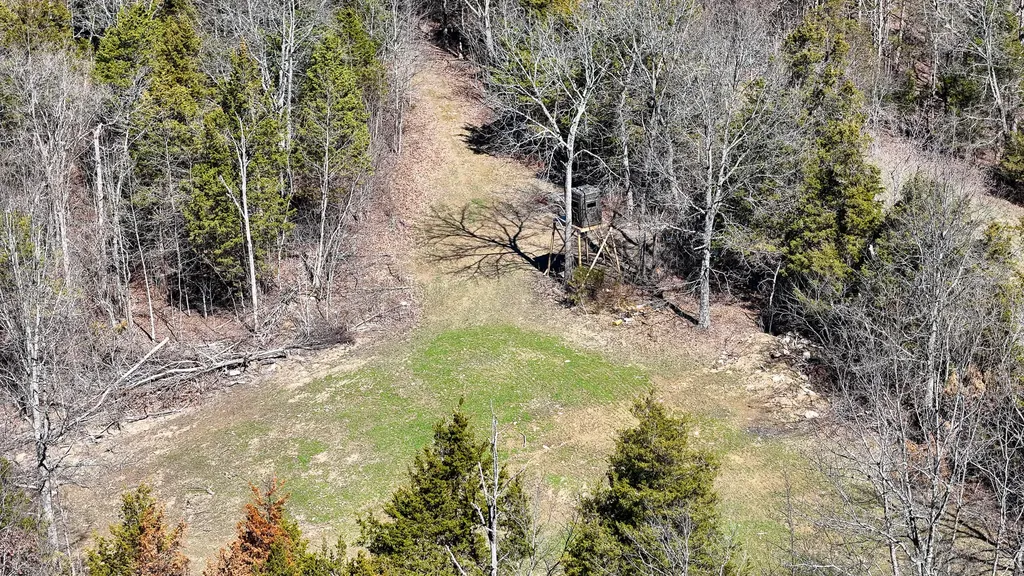 00 Fork Lick Road Corinth KY 41010
