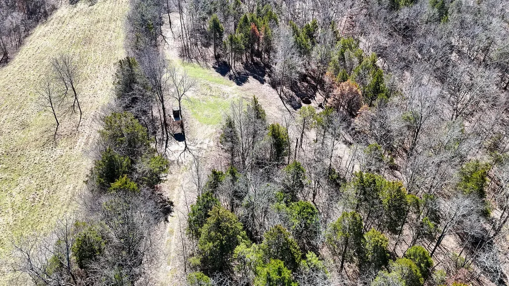 00 Fork Lick Road Corinth KY 41010