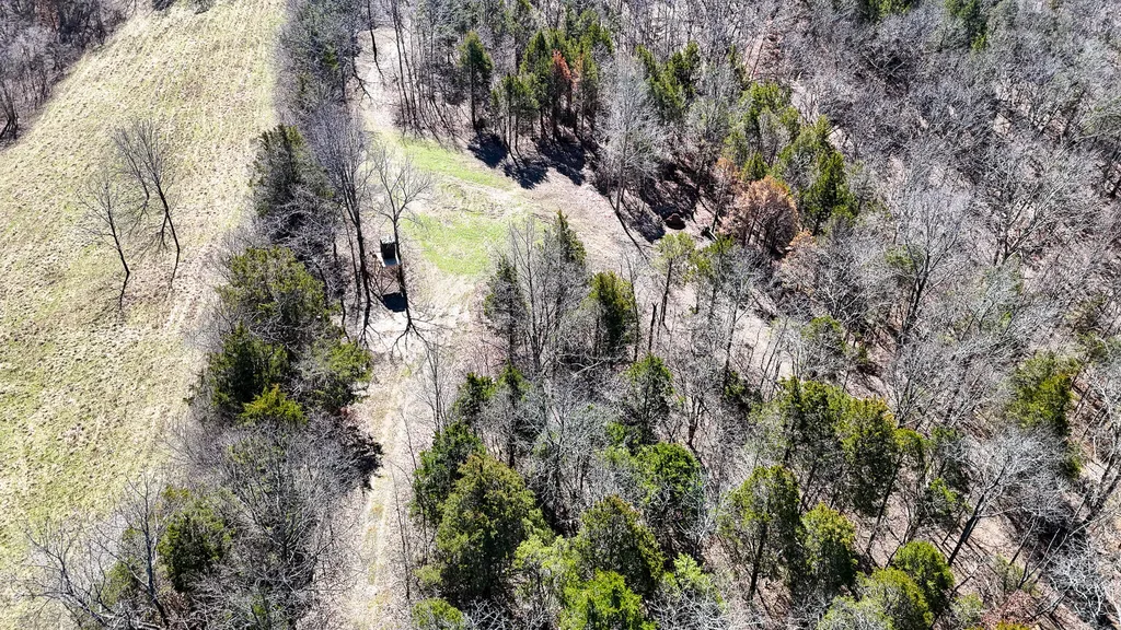 00 Fork Lick Road Corinth KY 41010