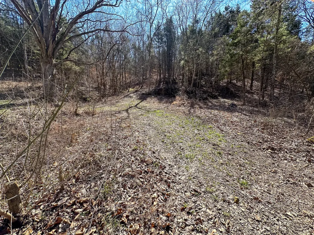00 Fork Lick Road Corinth KY 41010